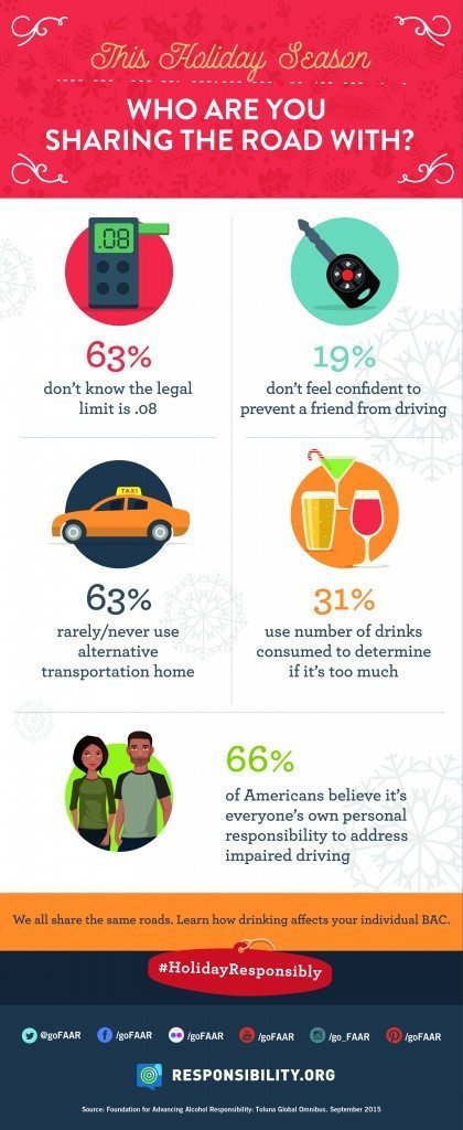 Holiday Infographic - Who are you sharing the road with